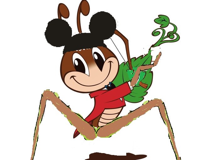 La Taqueria Presenta #100 : CRI CRI ES CHIQUITO Y&nbsp;OREJON